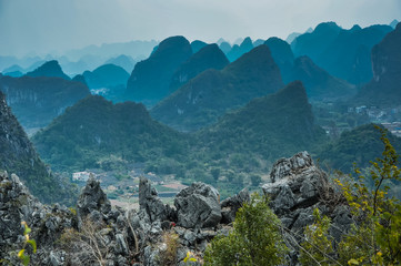 生僻唯美的花名大全