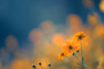 经济学十部经典著作是什么？