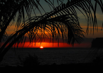 女人梦见桃子什么意思