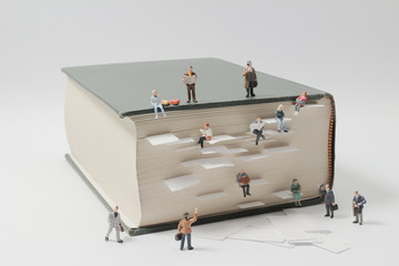 生僻唯美的花名大全