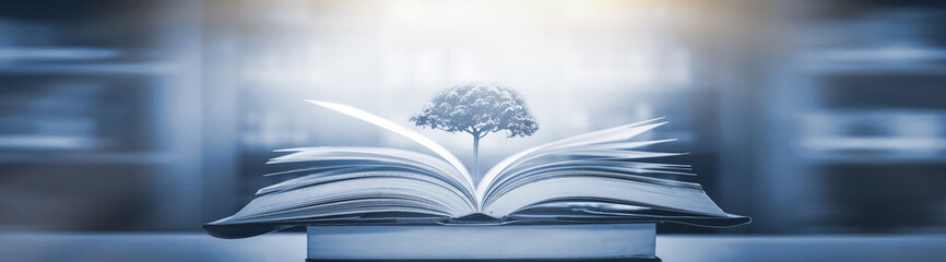 字谜.接音的古诗 歇后语 对联 笑话.和汉字的历史