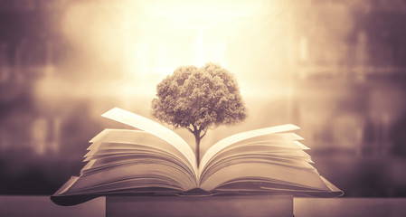 跟花有关的英文名