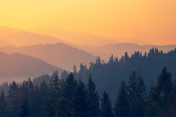 中医食疗常识里的四气和五味是指什么？