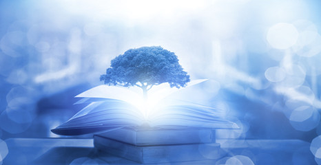 中医食疗常识里的四气和五味是指什么？