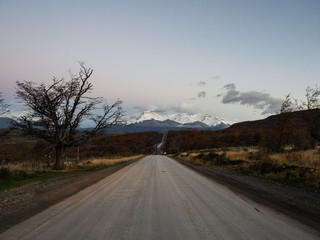 跟花有关的英文名