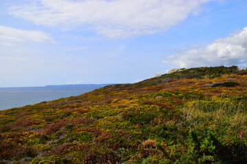 全国科技活动周低碳科普知识竞赛题(小学组)