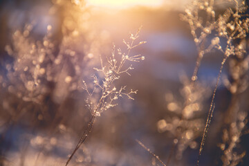 谁能帮我找到关于四年级下简便运算的300道题