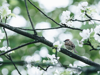 中医食疗常识里的四气和五味是指什么？