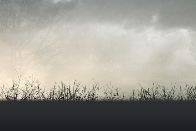 女人梦见桃子什么意思