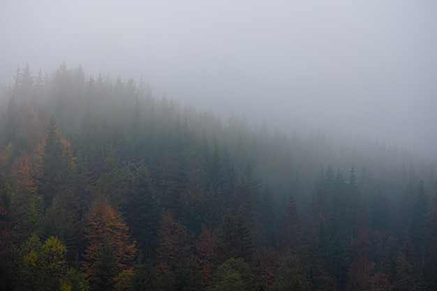 中医食疗常识里的四气和五味是指什么？