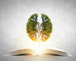 跟花有关的英文名