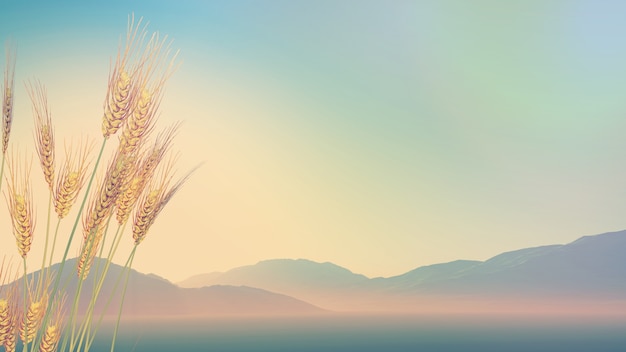 字谜.接音的古诗 歇后语 对联 笑话.和汉字的历史