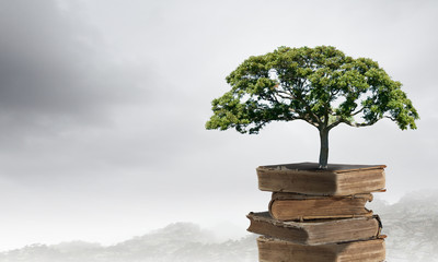 全国科技活动周低碳科普知识竞赛题(小学组)